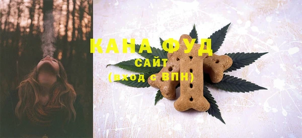 метадон Лагань